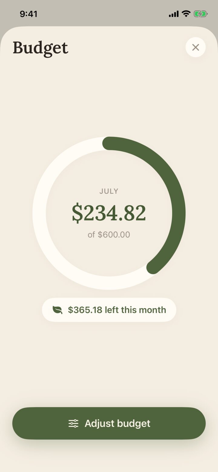 Monthly budget progress